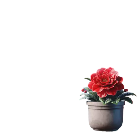 Bild eines klassischen Blumentopfs mit roter Blüte. Die Blume strahlt Natürlichkeit und Schönheit aus.